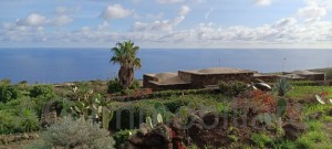 Pantelleria , typisches Dammuso mit Meerblick - Ref. 210
